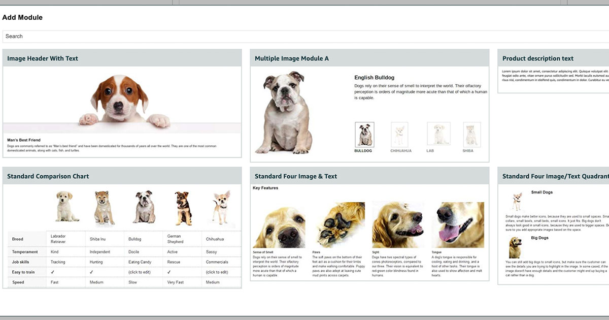 Social Discovery on Amazon: Using Posts and Storefront Content to Get Found